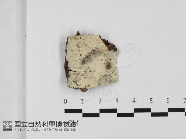 登錄號:F0032382藏品圖，第1張