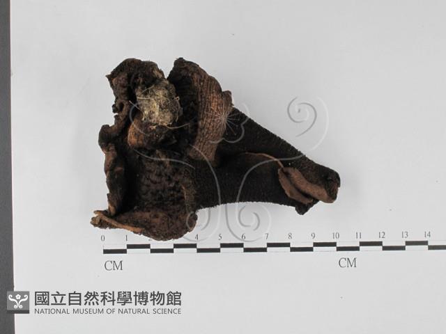 登錄號:F0027382藏品圖，第1張