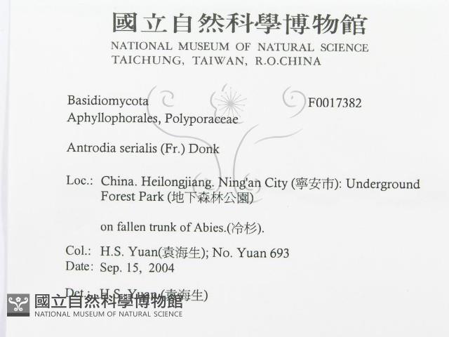 登錄號:F0017382藏品圖，第3張