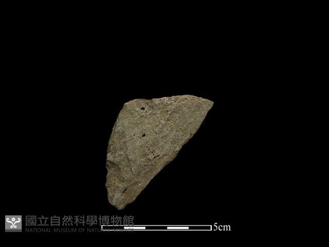 斧鋤形器藏品圖，第2張