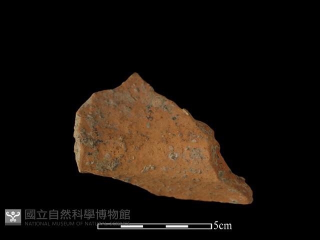 陶罐藏品圖，第2張