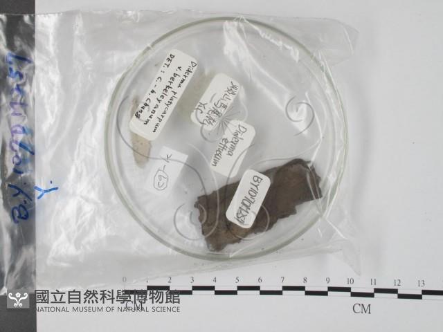 登錄號:F0018127藏品圖，第1張