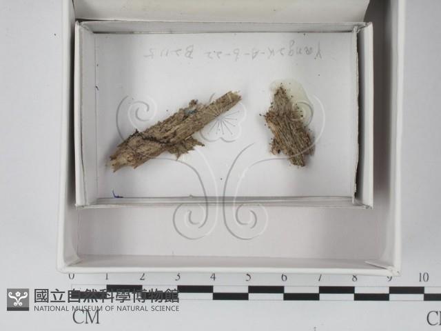 登錄號:F0018027藏品圖，第1張
