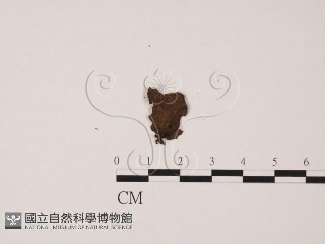 登錄號:F0015027藏品圖，第1張