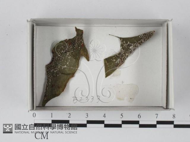 登錄號:F0018207藏品圖，第1張