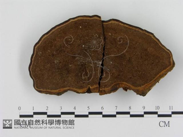 登錄號:F0016207藏品圖，第1張