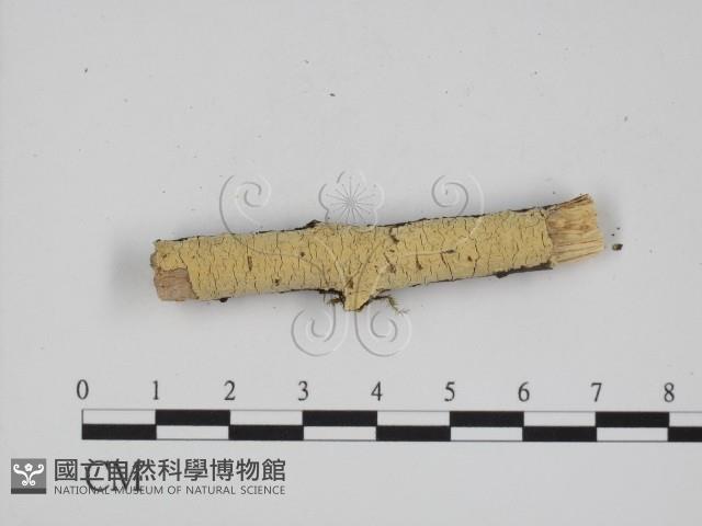 登錄號:F0001207藏品圖，第1張