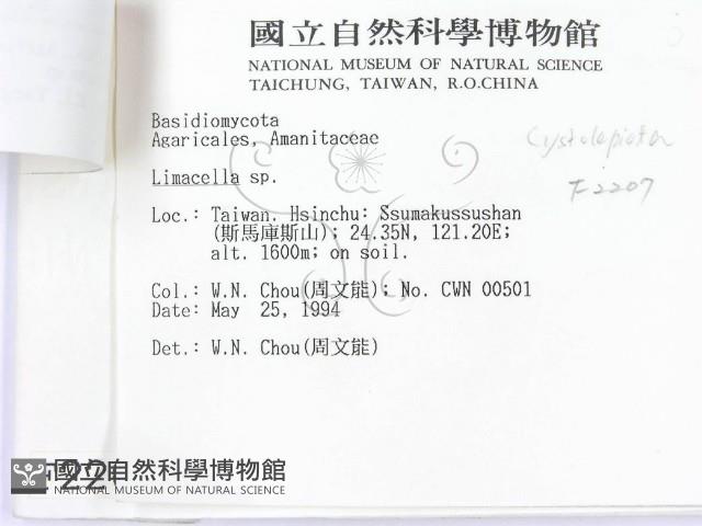 登錄號:F0002207藏品圖，第3張