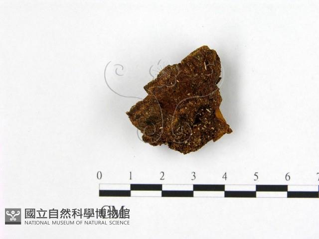 登錄號:F0007207藏品圖，第1張