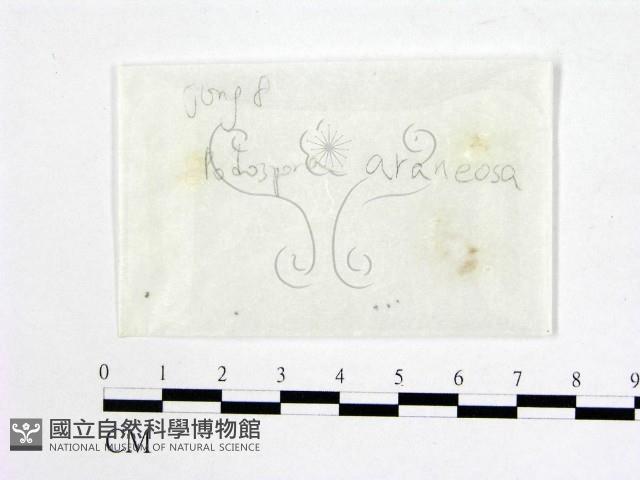 登錄號:F0017207藏品圖，第1張