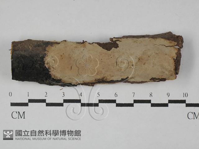 登錄號:F0029207藏品圖，第1張