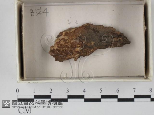 登錄號:F0018407藏品圖，第1張