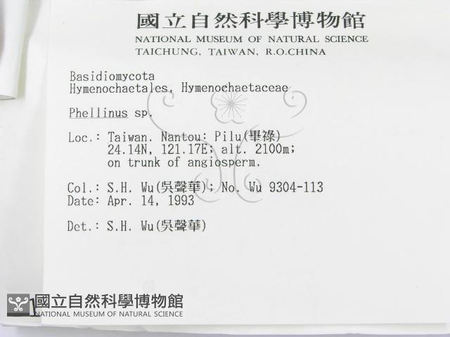 登錄號:F0001107藏品圖，第3張