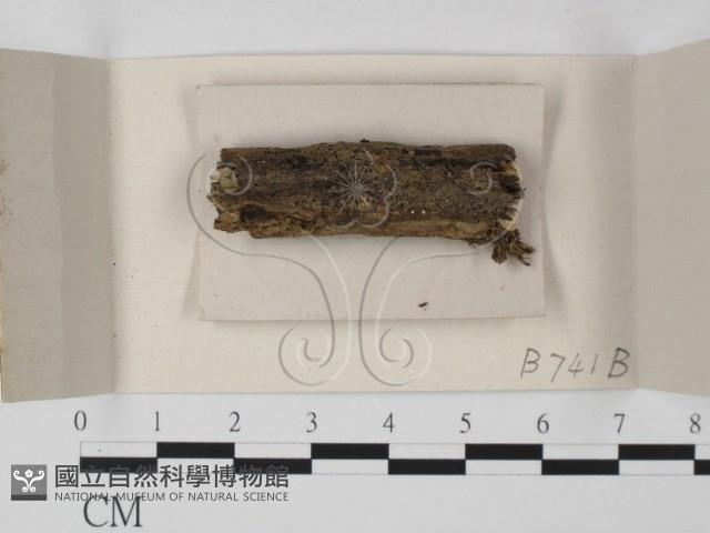 登錄號:F0018007藏品圖，第1張