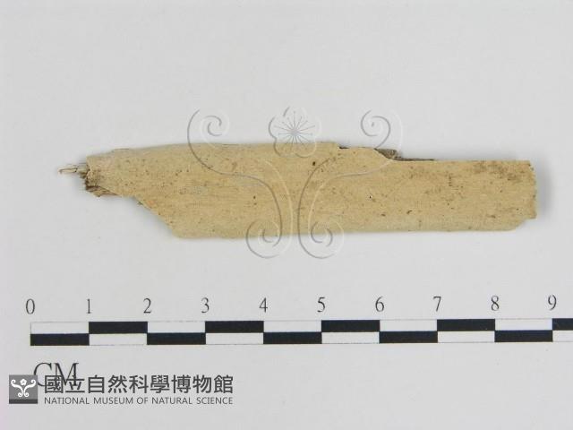 登錄號:F0012007藏品圖，第1張