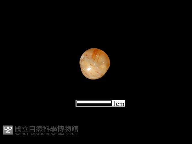 瑪瑙珠藏品圖，第2張