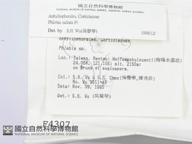 登錄號:F0004307藏品圖，第3張