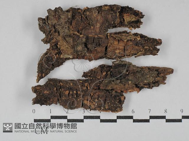 登錄號:F0029307藏品圖，第1張