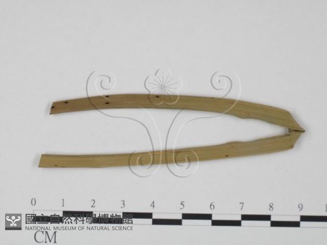 登錄號:F0019307藏品圖，第1張