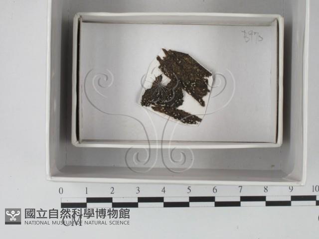 登錄號:F0018217藏品圖，第1張