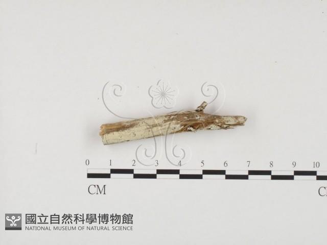 登錄號:F0001217藏品圖，第1張