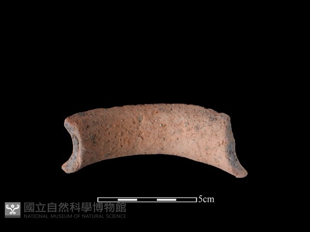 陶罐藏品圖，第1張