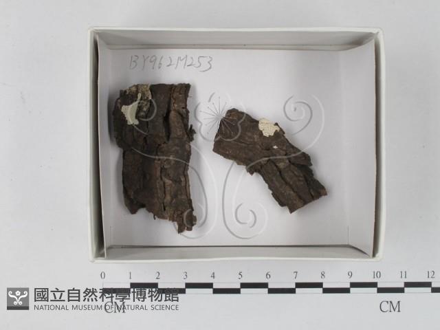 登錄號:F0018117藏品圖，第1張