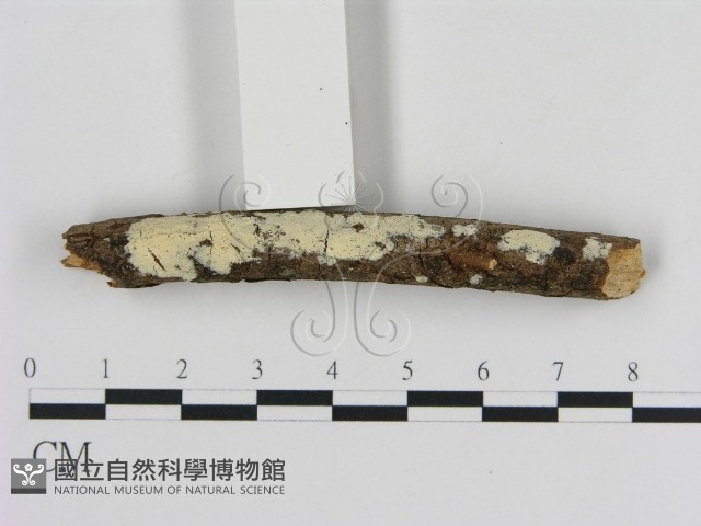 登錄號:F0005317藏品圖，第1張