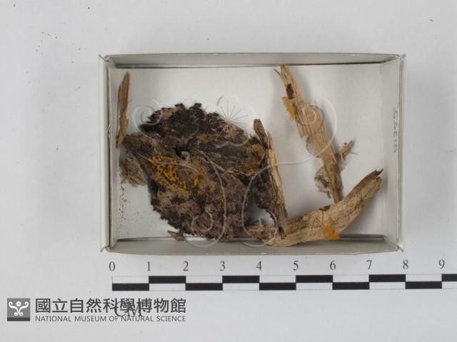 登錄號:F0018297藏品圖，第1張