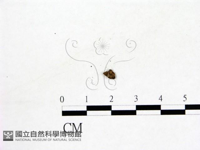 登錄號:F0001297藏品圖，第1張