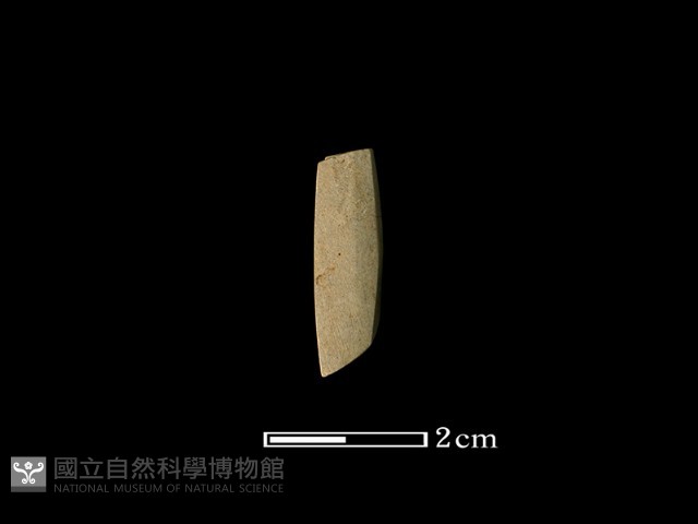 錛鑿形器藏品圖，第1張