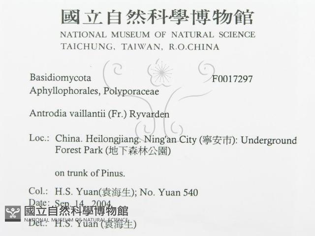 登錄號:F0017297藏品圖，第3張