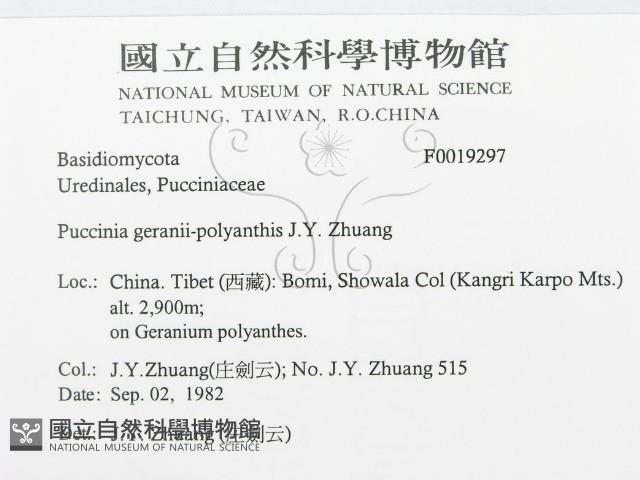 登錄號:F0019297藏品圖，第3張