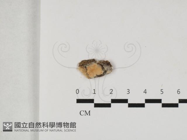 登錄號:F0033297藏品圖，第1張