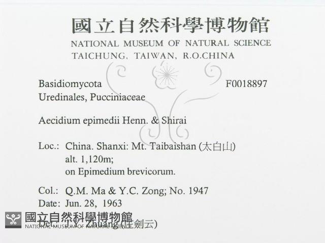 登錄號:F0018897藏品圖，第3張