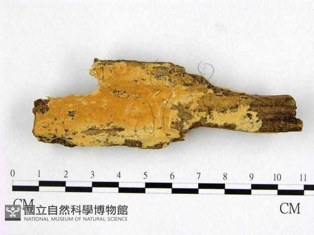 登錄號:F0000897藏品圖，第1張
