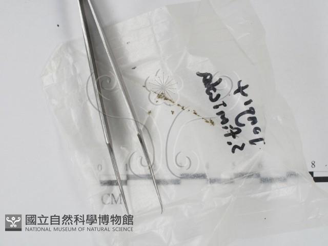 登錄號:F0016897藏品圖，第1張
