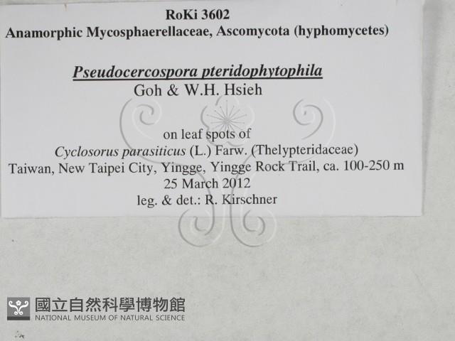 登錄號:F0027897藏品圖，第3張