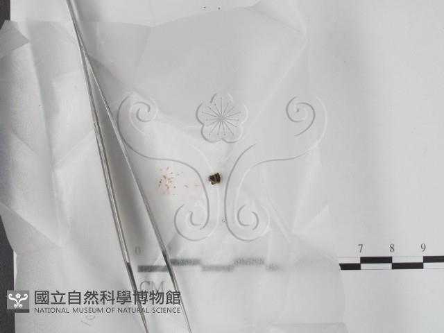 登錄號:F0017897藏品圖，第1張