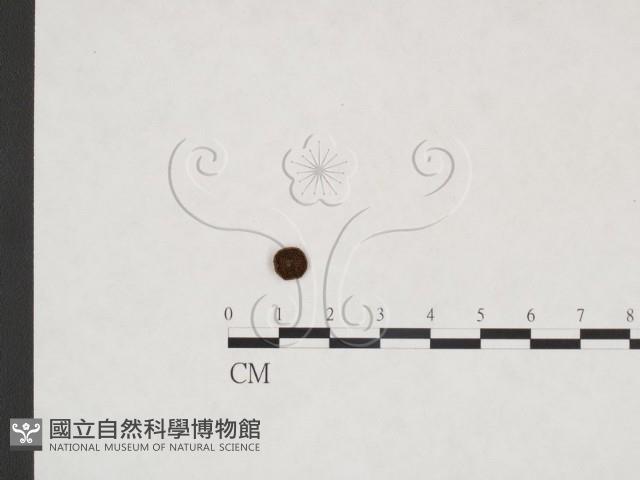 登錄號:F0025897藏品圖，第1張