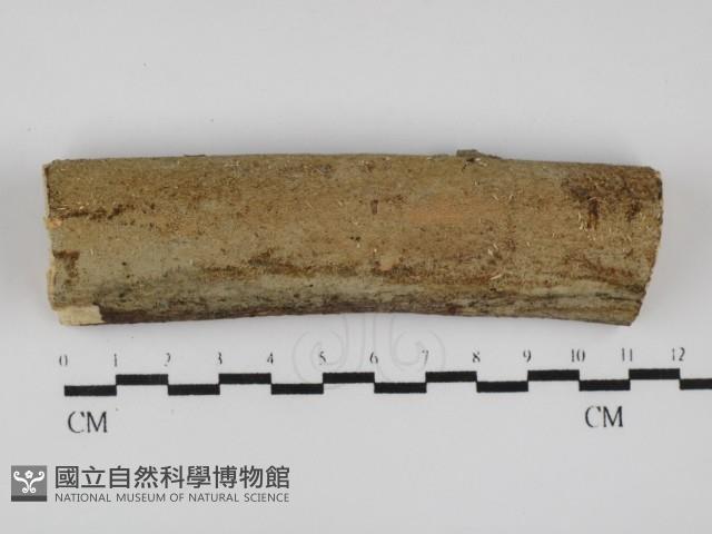 登錄號:F0026997藏品圖，第1張