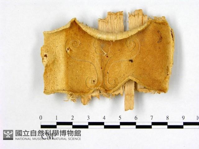 登錄號:F0006997藏品圖，第1張