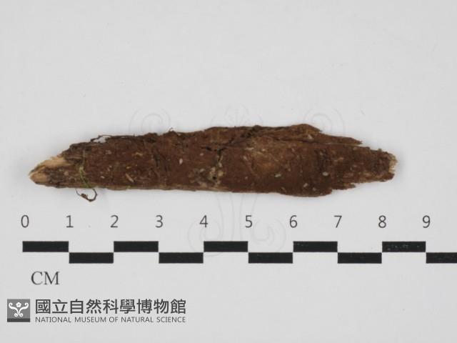 登錄號:F0032997藏品圖，第1張