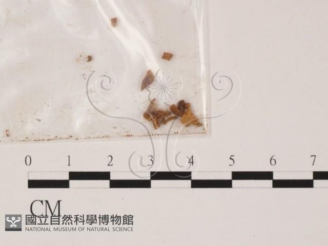 登錄號:F0007997藏品圖，第1張