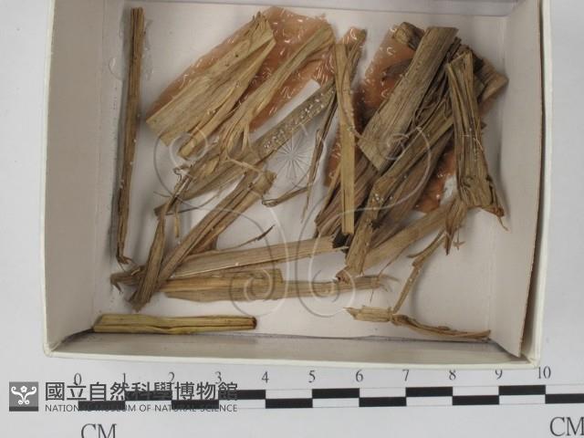 登錄號:F0017997藏品圖，第1張