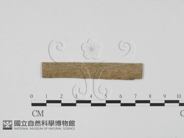 登錄號:F0011697藏品圖，第1張