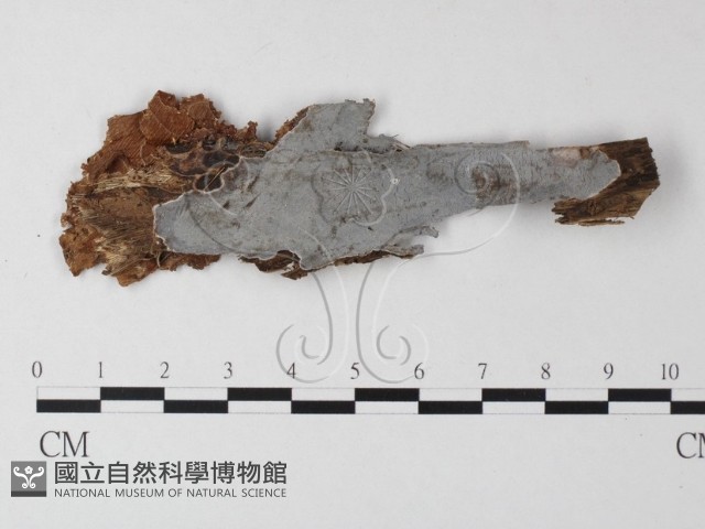 登錄號:F0023697藏品圖，第1張
