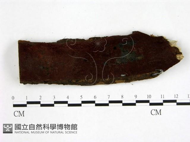 登錄號:F0002497藏品圖，第1張