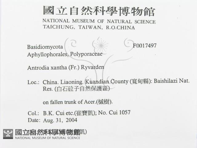 登錄號:F0017497藏品圖，第3張