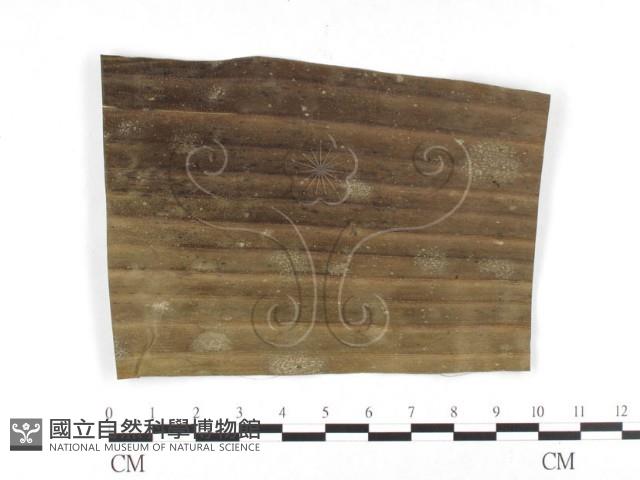 登錄號:F0026797藏品圖，第1張